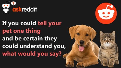 askreddit dog|Reddit Users Tell Stories of What's The Sweetest Thing .